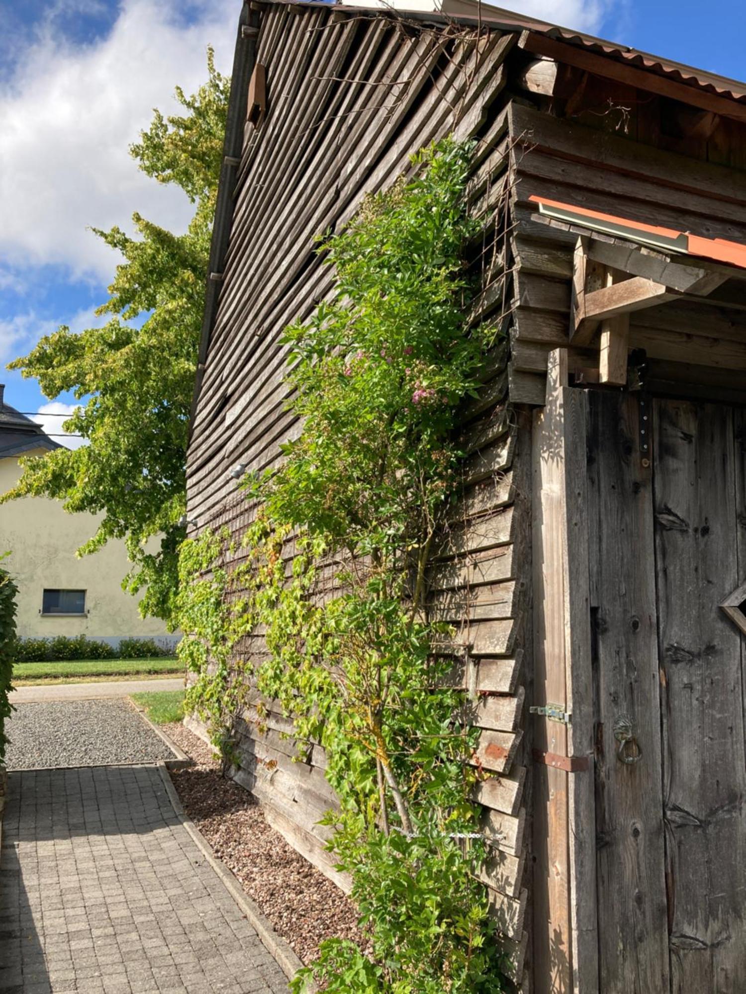 Paulis Cozy 4-Bedroom Vacation Home - With 4 Bathrooms Sun Terrace & Sauna, Nice To Hike & Bike, To Chil & Meet Bullange Exterior photo