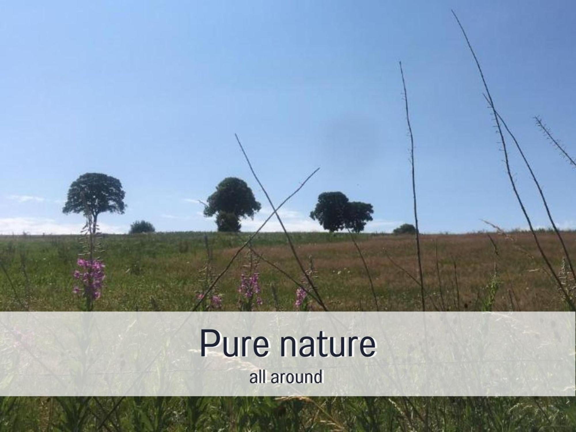 Paulis Cozy 4-Bedroom Vacation Home - With 4 Bathrooms Sun Terrace & Sauna, Nice To Hike & Bike, To Chil & Meet Bullange Exterior photo